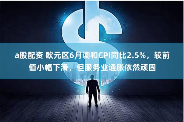 a股配资 欧元区6月调和CPI同比2.5%，较前值小幅下滑，但服务业通胀依然顽固