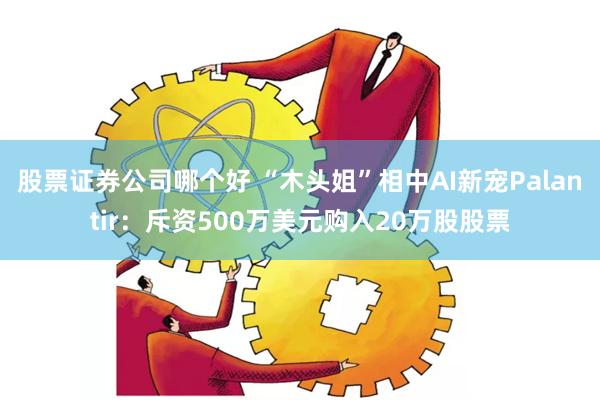 股票证券公司哪个好 “木头姐”相中AI新宠Palantir：斥资500万美元购入20万股股票