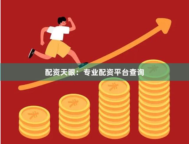 配资天眼：专业配资平台查询