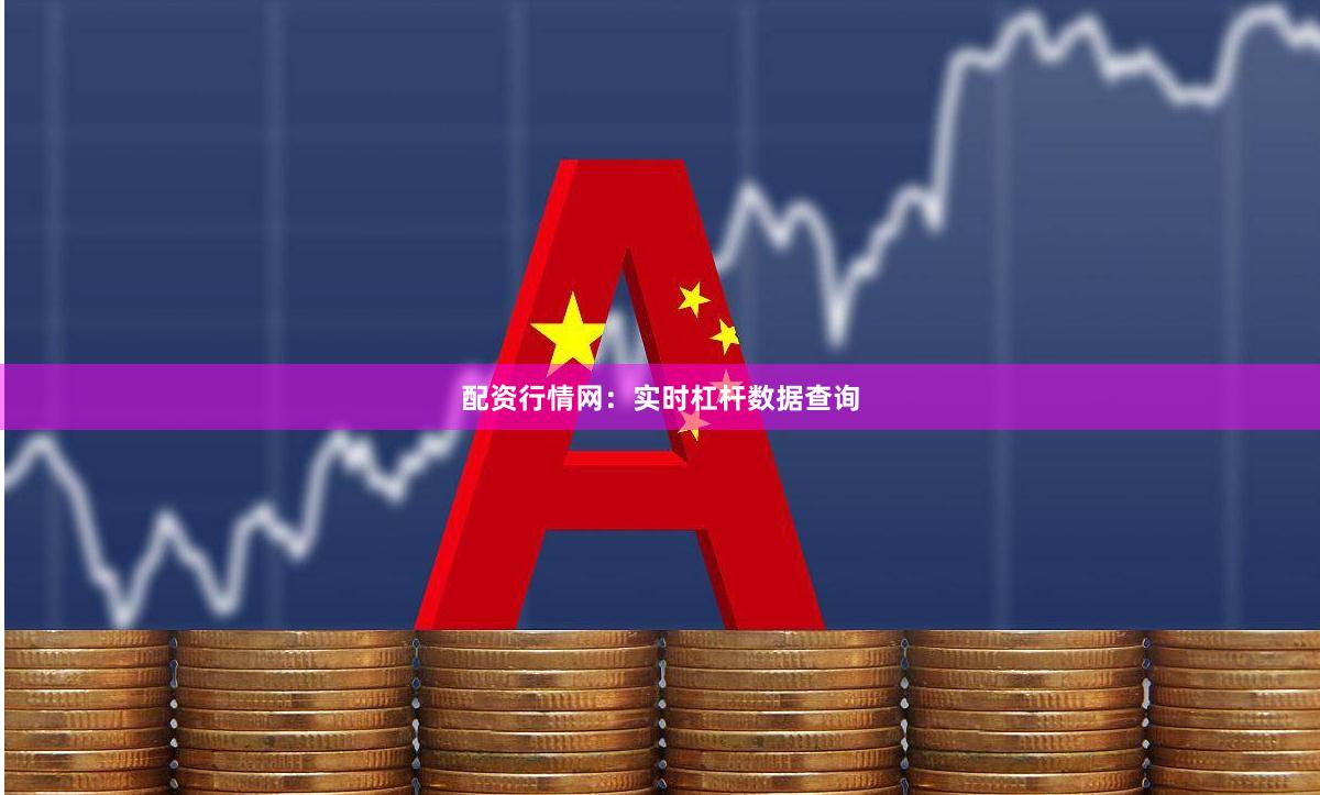配资行情网：实时杠杆数据查询